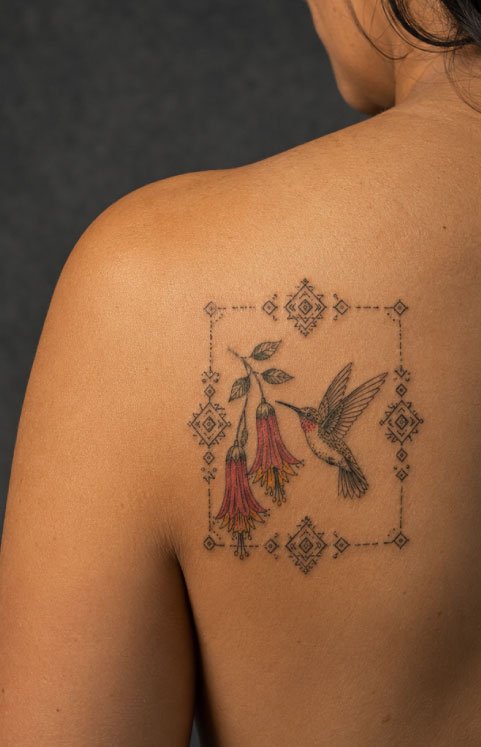 COLIBRI1