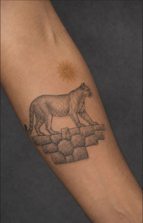 PUMA-DE-MONTAÑA